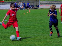 Hillen Cup 2024